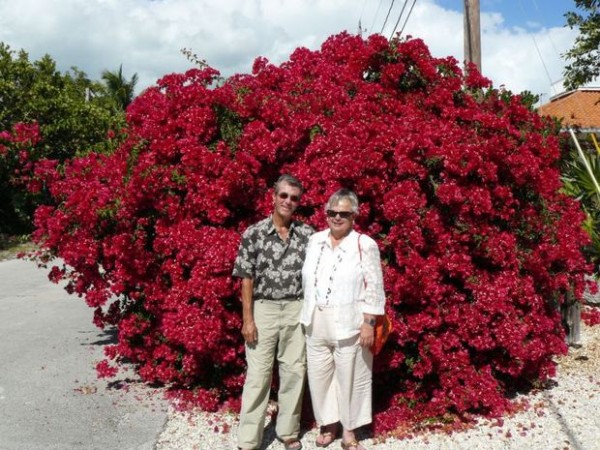 Richard and Sharon Renk